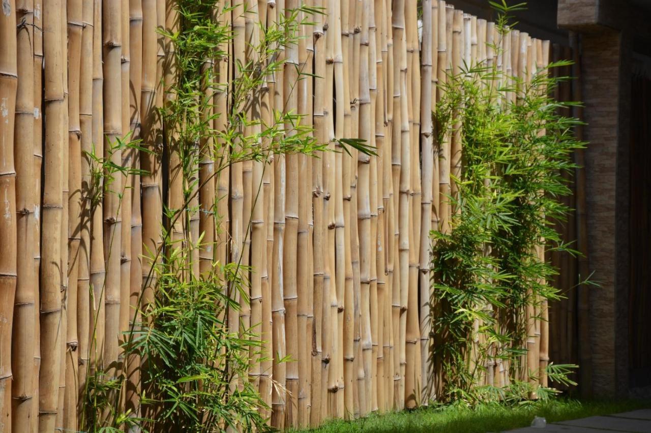 Bamboo Lodge - La Criquet 'Event' Lomé Exterior foto